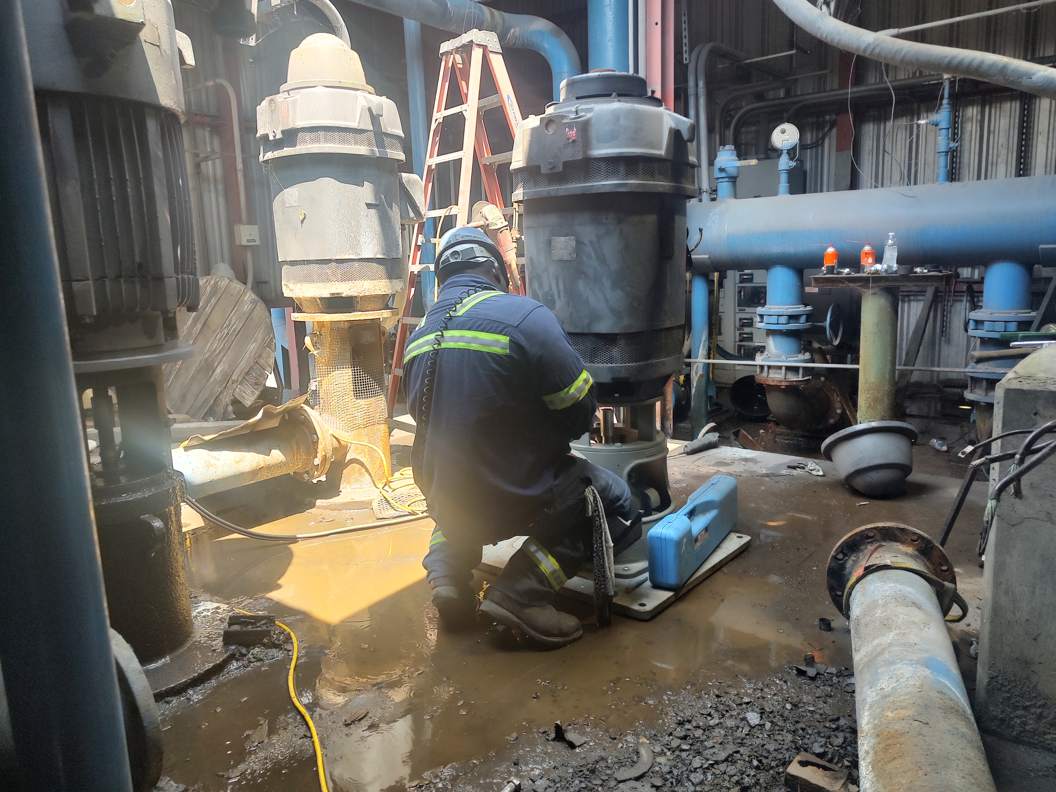 Plant Maintenance